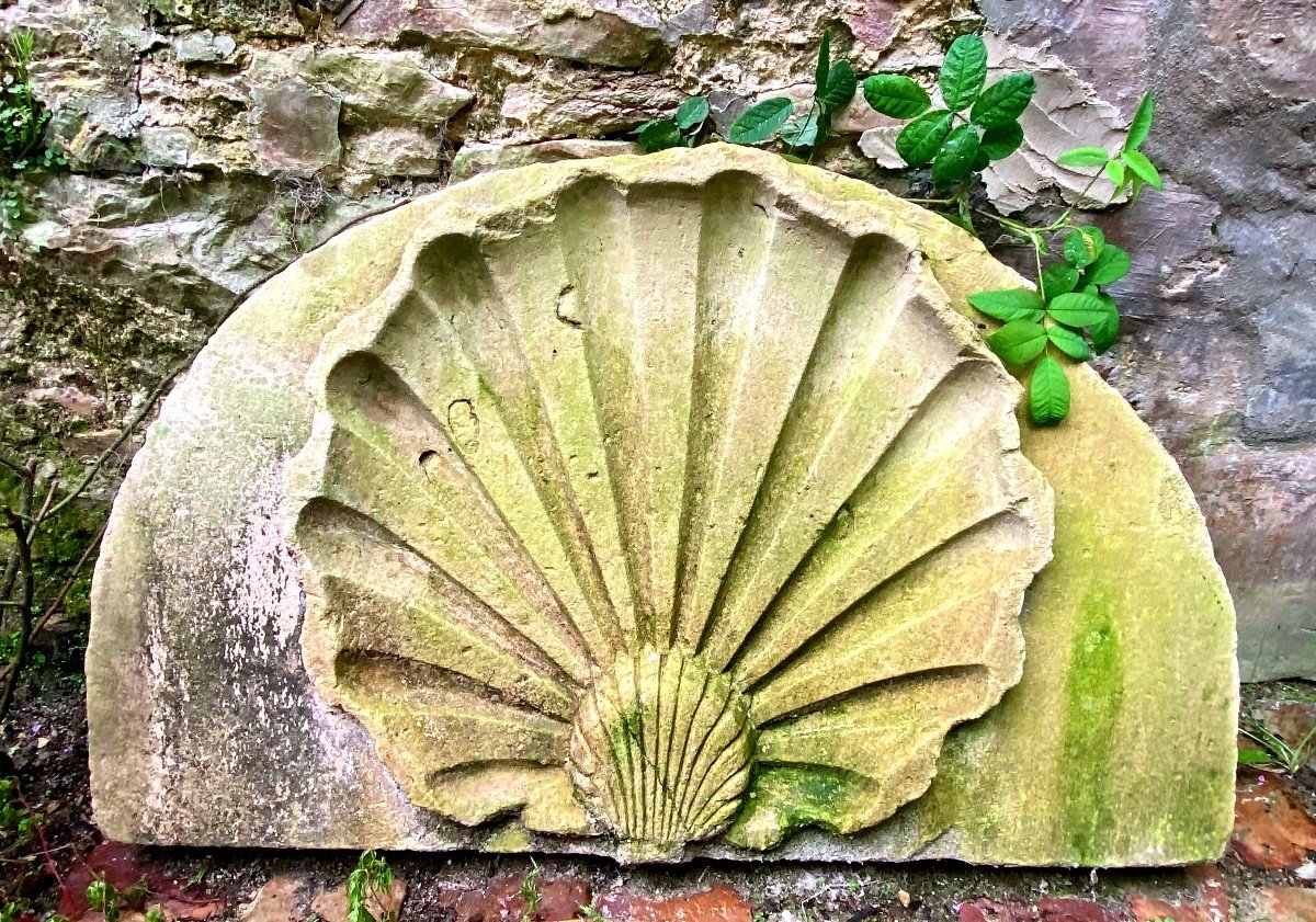 Important Stone Shell From Valognes/manche. Seventeenth Century.