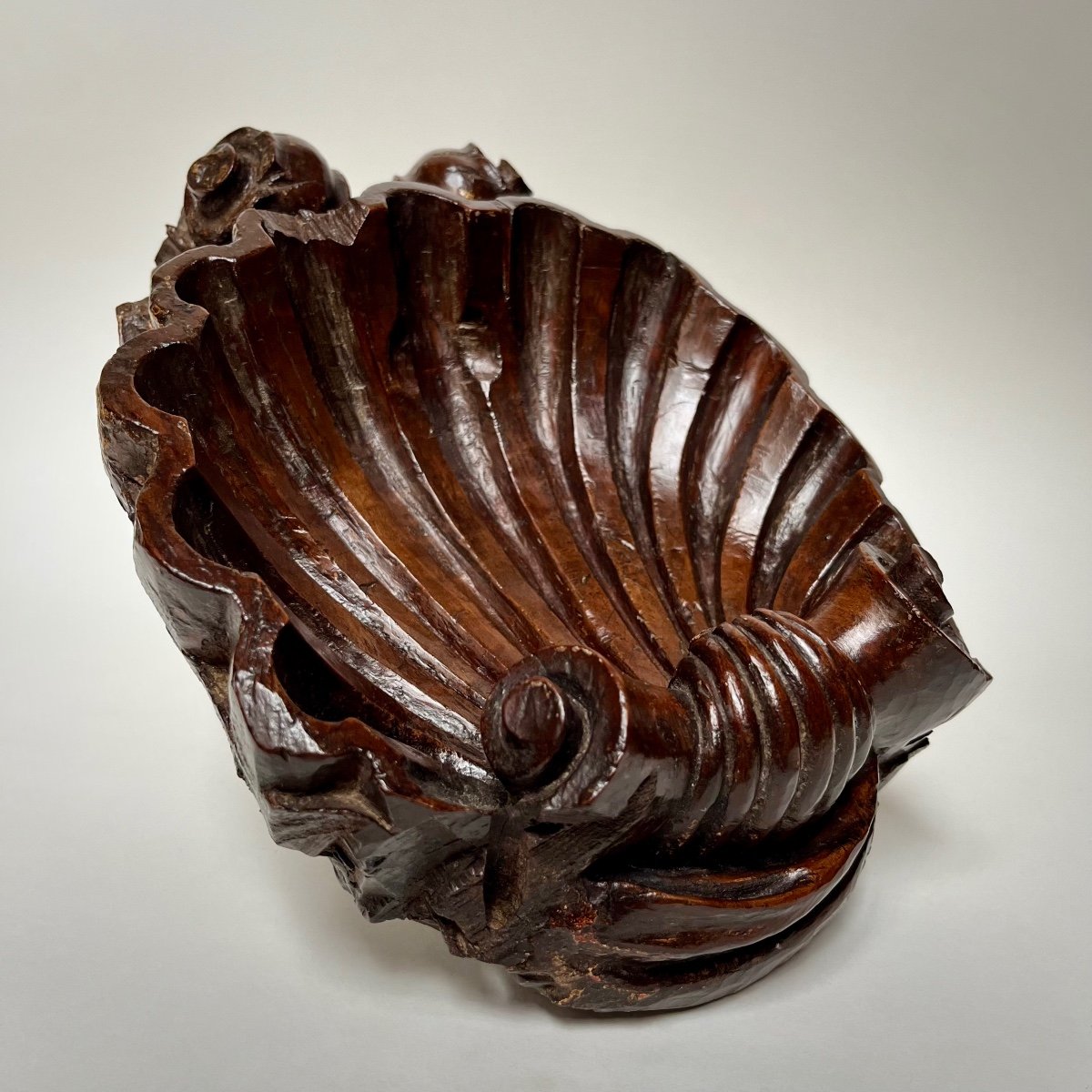 Carved Wooden Shell - Italy, 17th - 18th Century -photo-3
