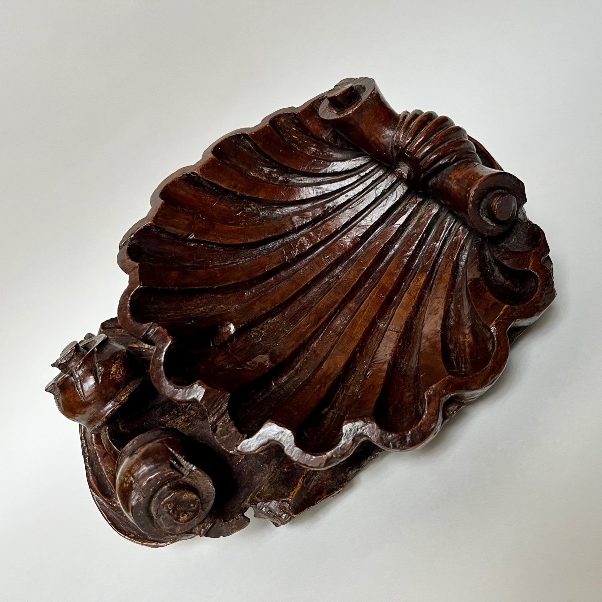 Carved Wooden Shell - Italy, 17th - 18th Century -photo-4