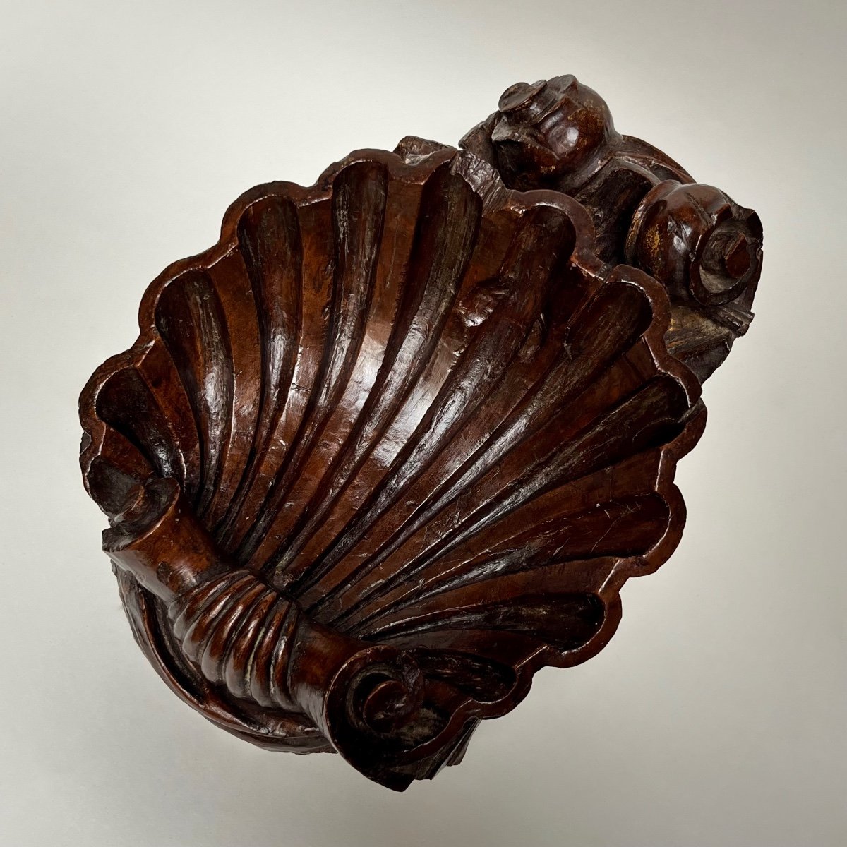 Carved Wooden Shell - Italy, 17th - 18th Century -photo-2
