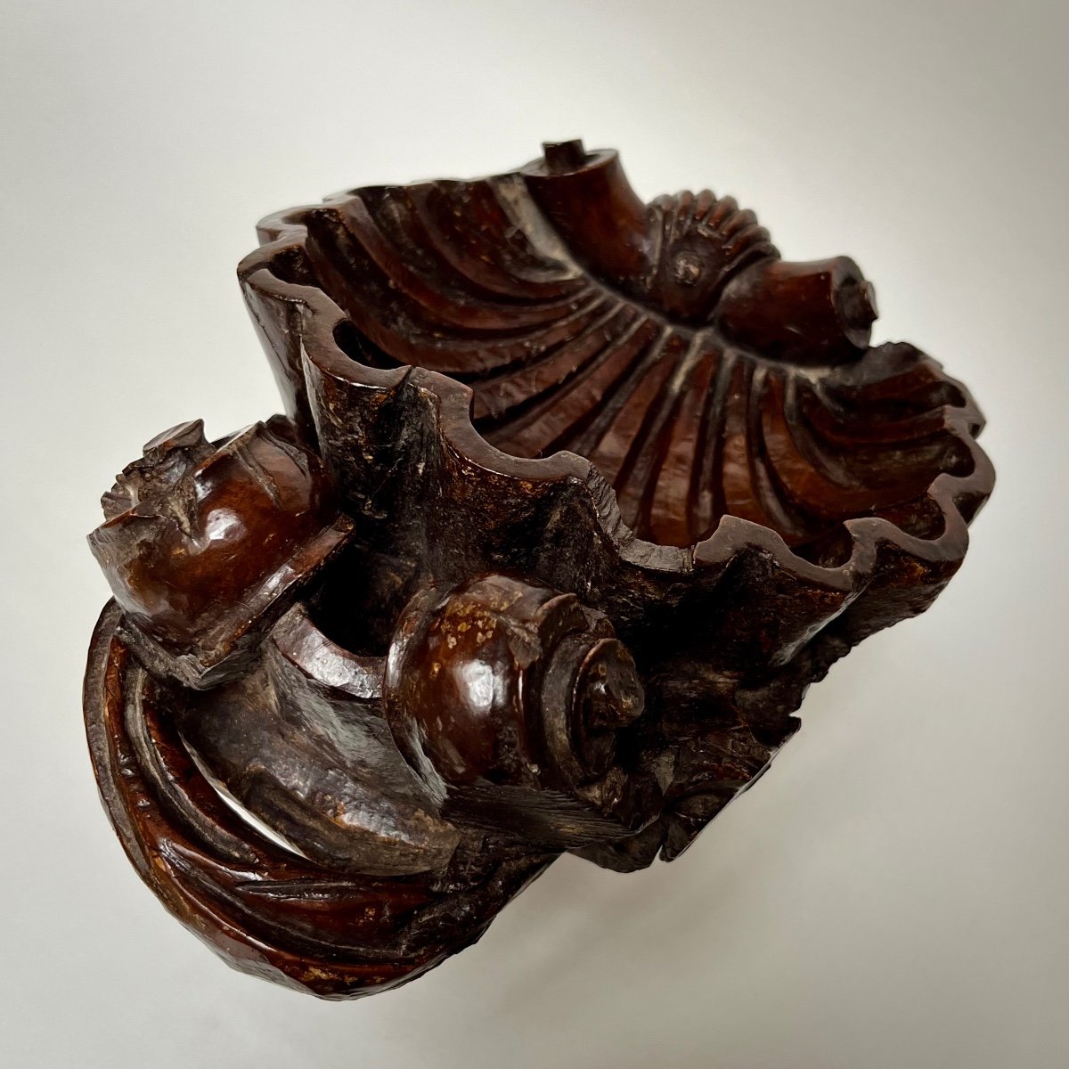 Carved Wooden Shell - Italy, 17th - 18th Century -photo-3