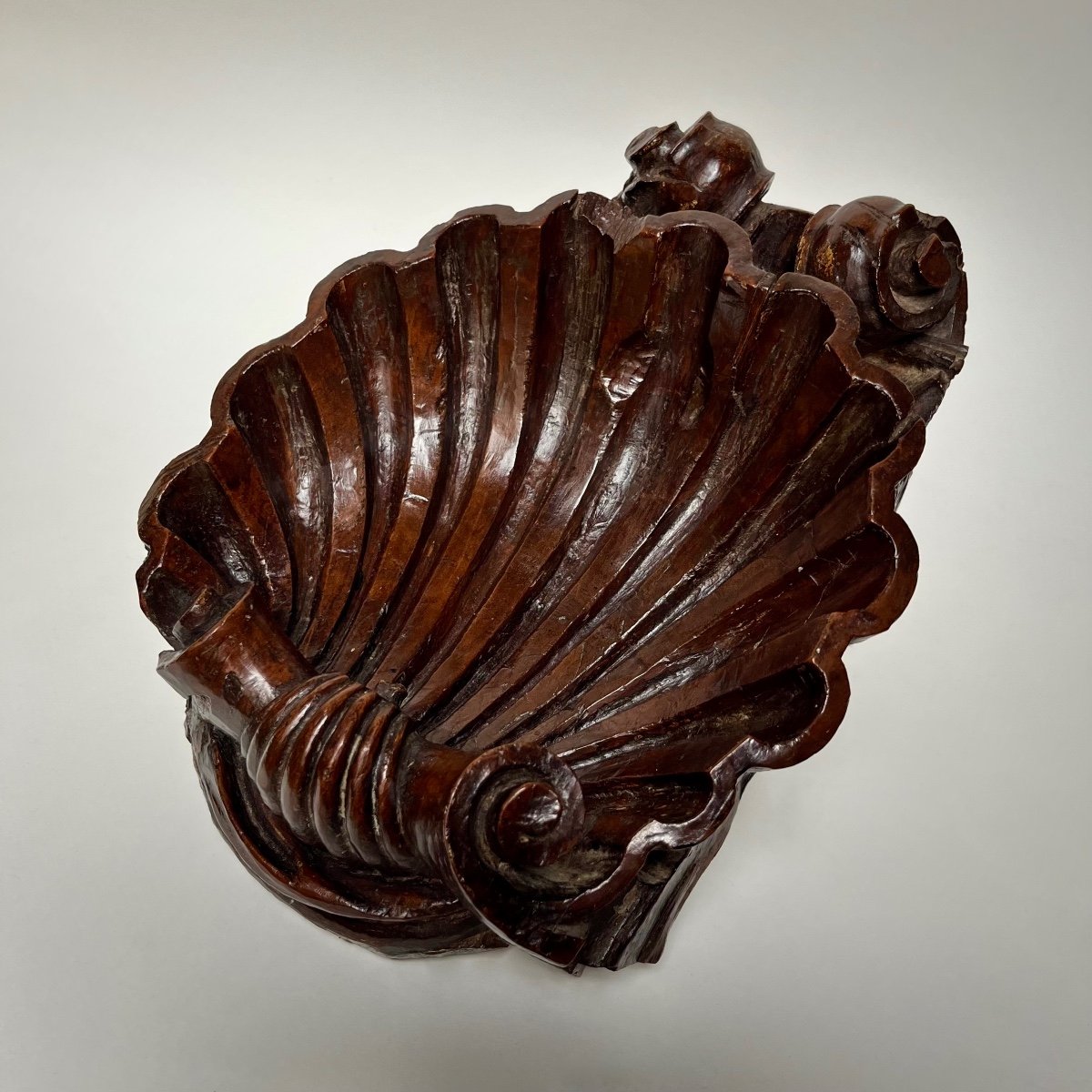 Carved Wooden Shell - Italy, 17th - 18th Century -photo-5