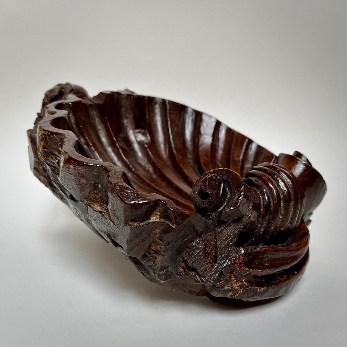 Carved Wooden Shell - Italy, 17th - 18th Century -photo-6