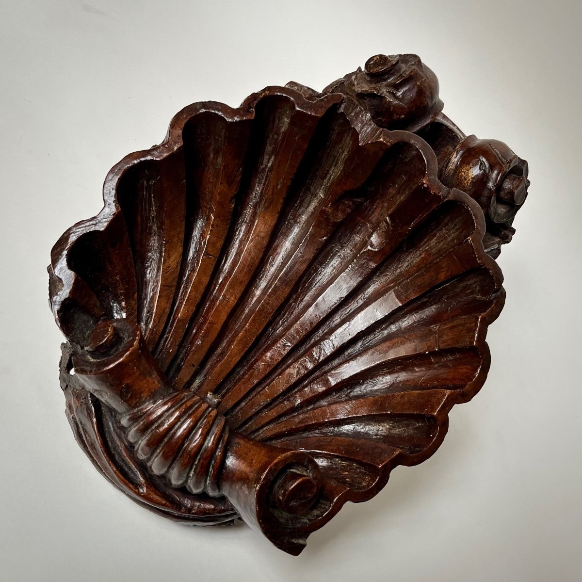 Carved Wooden Shell - Italy, 17th - 18th Century -photo-7