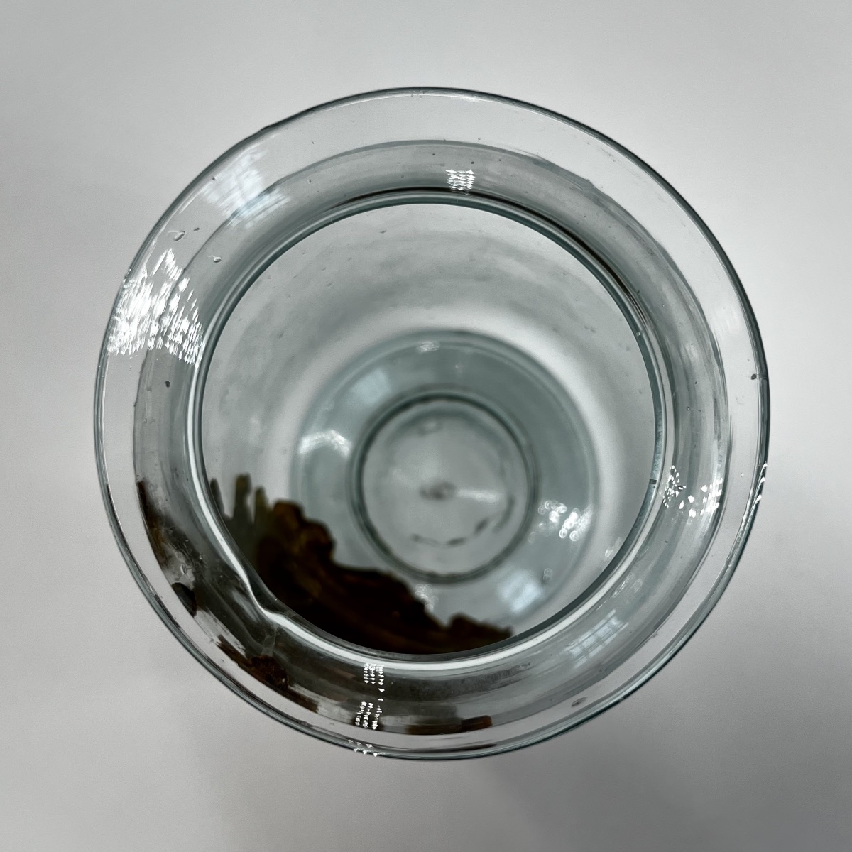Pot de pharmacie à décor peint Arsenic en verre soufflé XVIIIe - 18e-photo-1