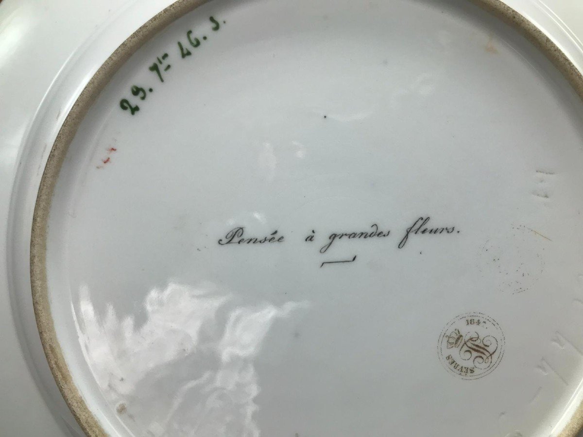 Sèvres Porcelain Plate, 1846, Large-flowered Pansy-photo-2