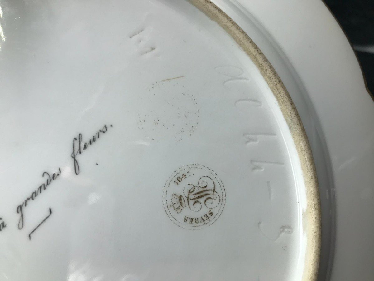 Sèvres Porcelain Plate, 1846, Large-flowered Pansy-photo-3