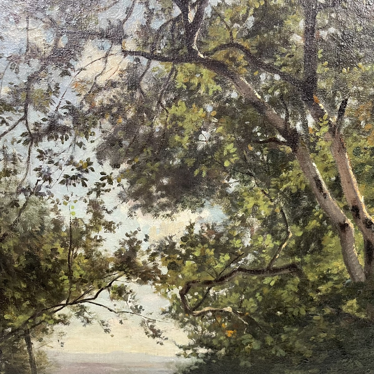 Sous-bois à Winkel signé Henri Zuber -photo-4