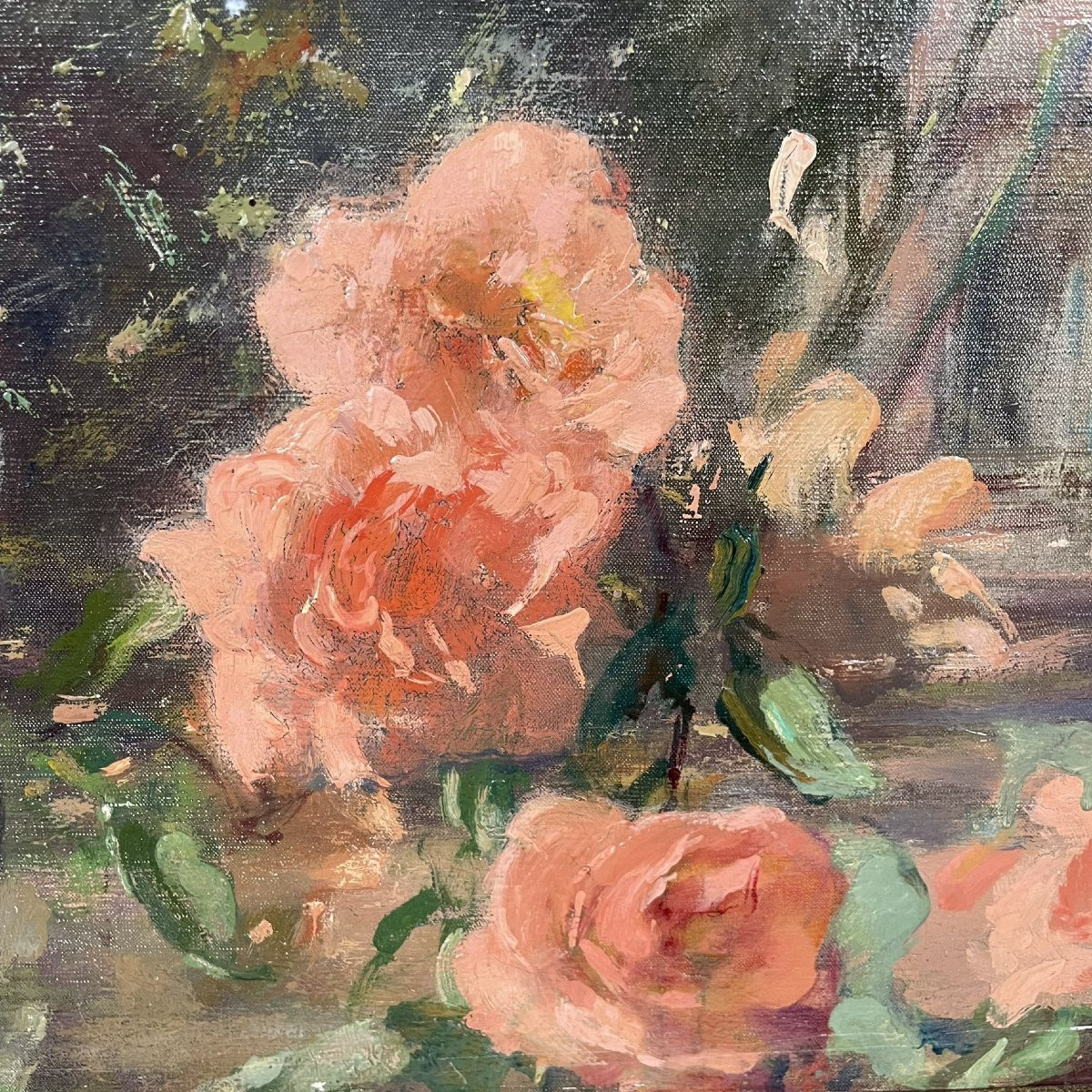 Roses de Capri de Many Benner-photo-1