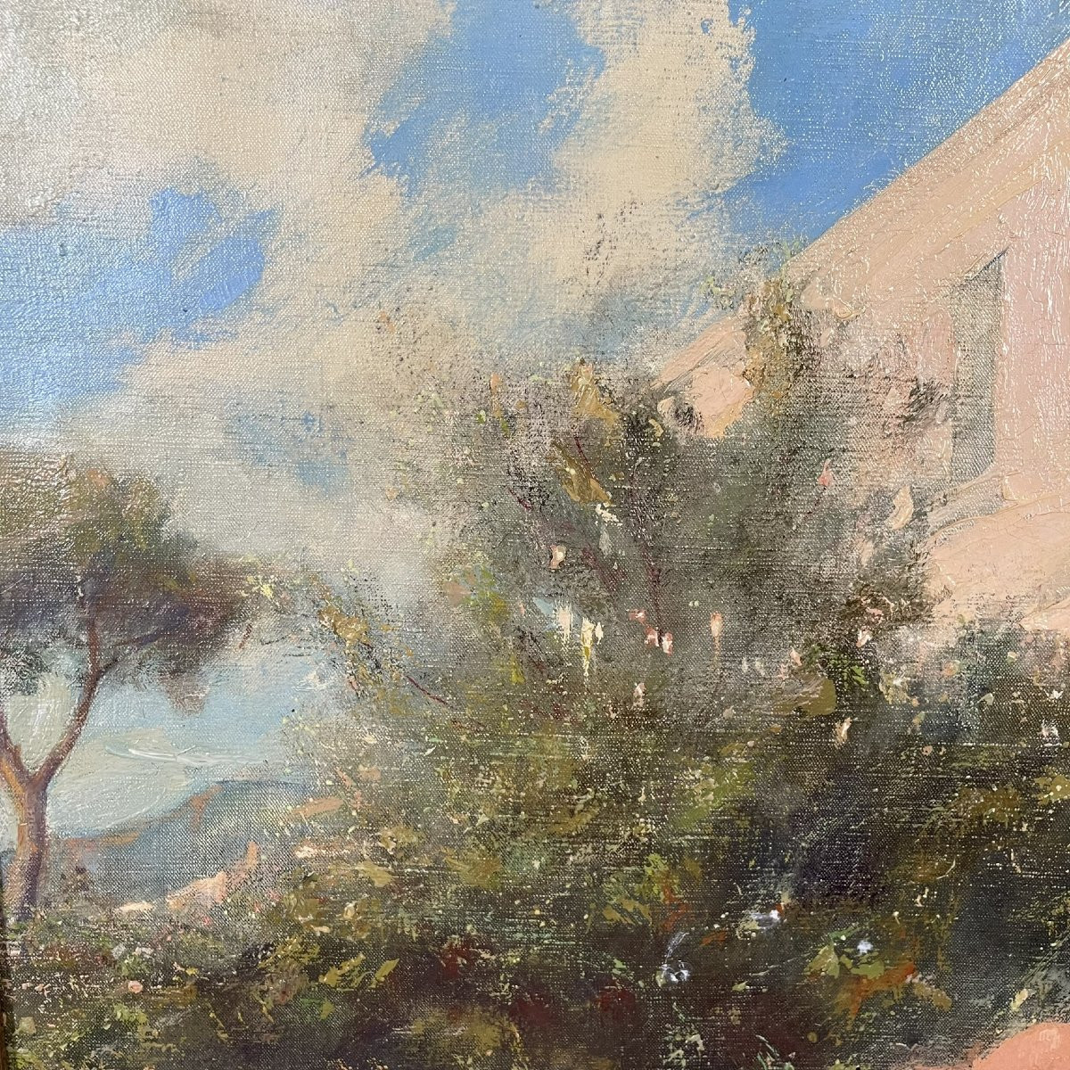 Roses de Capri de Many Benner-photo-2