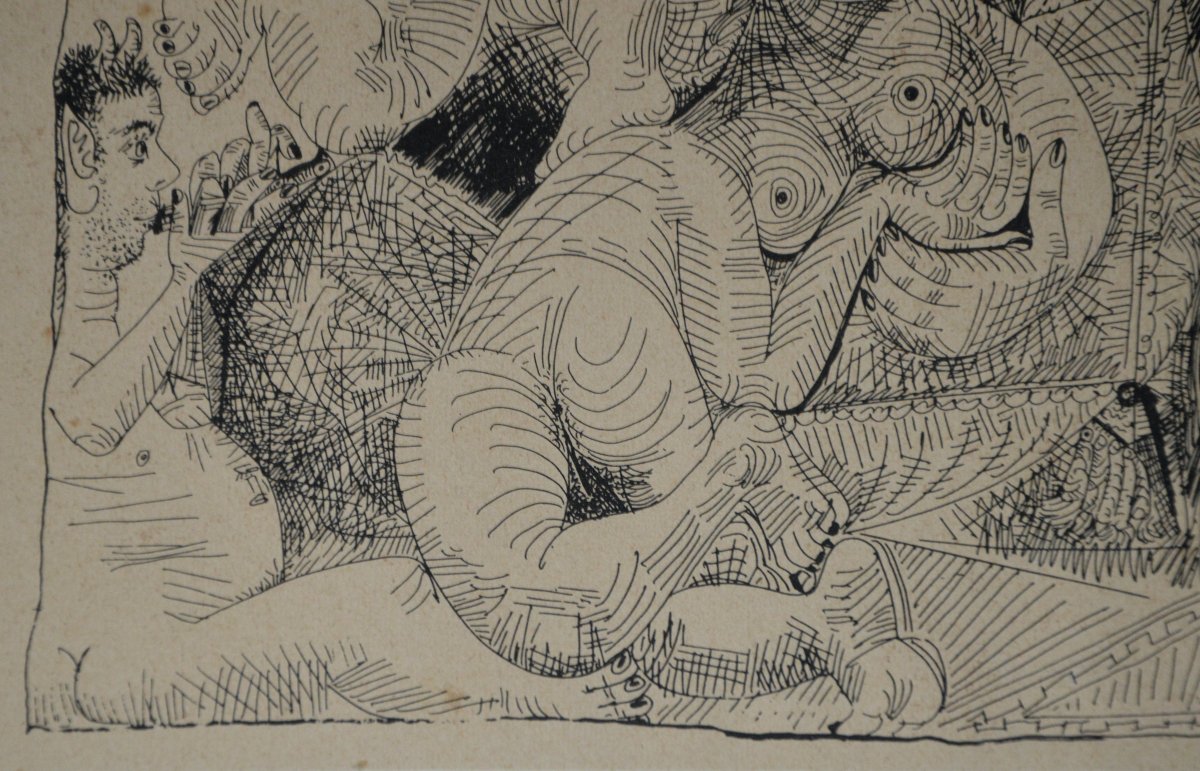 PICASSO P-photo-4