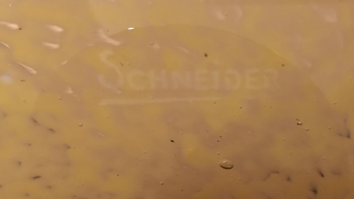 Schneider, coupe plate à pied noir-photo-7