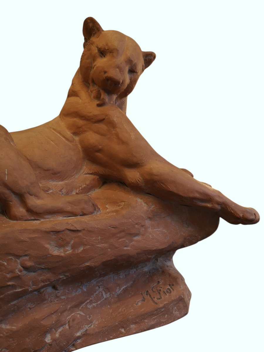 Terracotta Panther Signed M. Fiot-photo-6