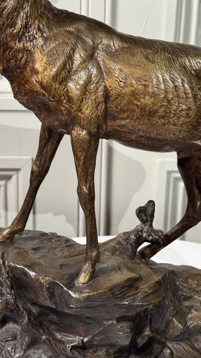 Edouard Drouot - Large Bronze Sculpture, Stag In Rut, Late 19th Century-photo-3