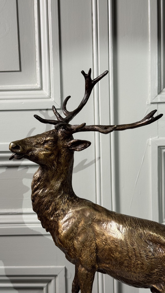 Edouard Drouot - Large Bronze Sculpture, Stag In Rut, Late 19th Century-photo-4