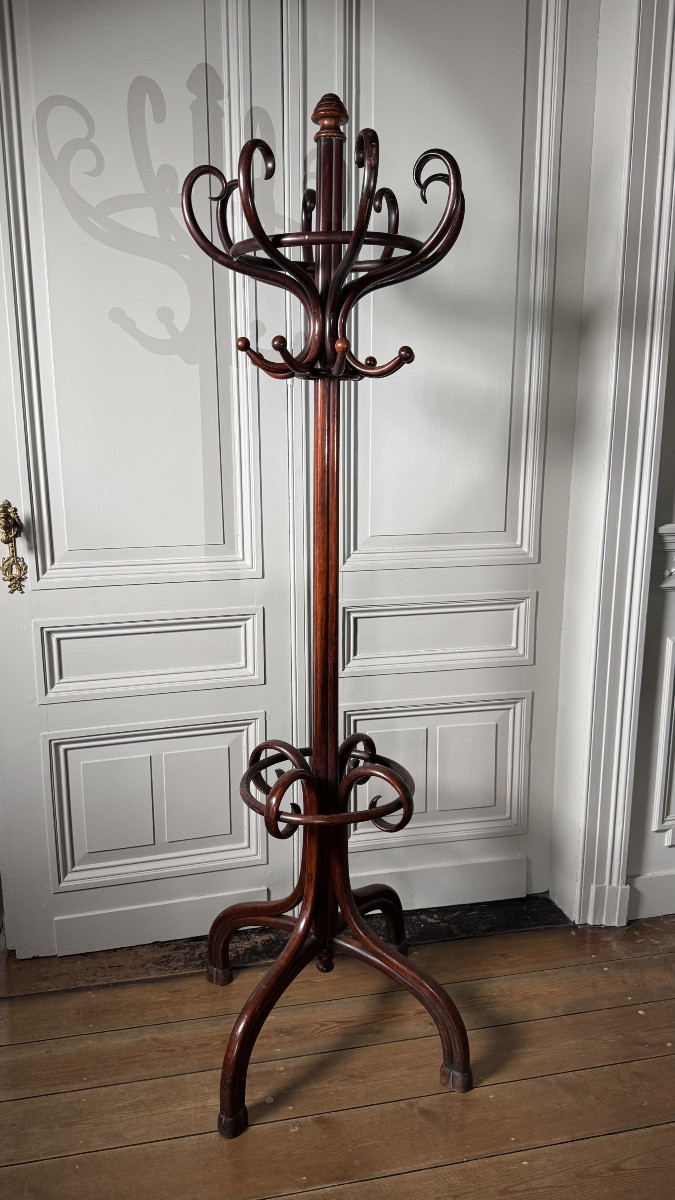 Thonet – Porte-manteau perroquet en bois courbé, signé, XIXe siècle-photo-2