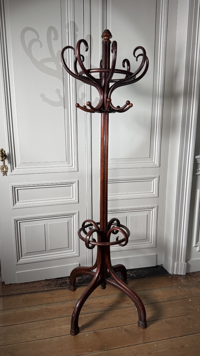 Thonet – Porte-manteau perroquet en bois courbé, signé, XIXe siècle-photo-4