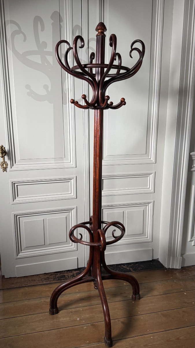 Thonet – Porte-manteau perroquet en bois courbé, signé, XIXe siècle-photo-5