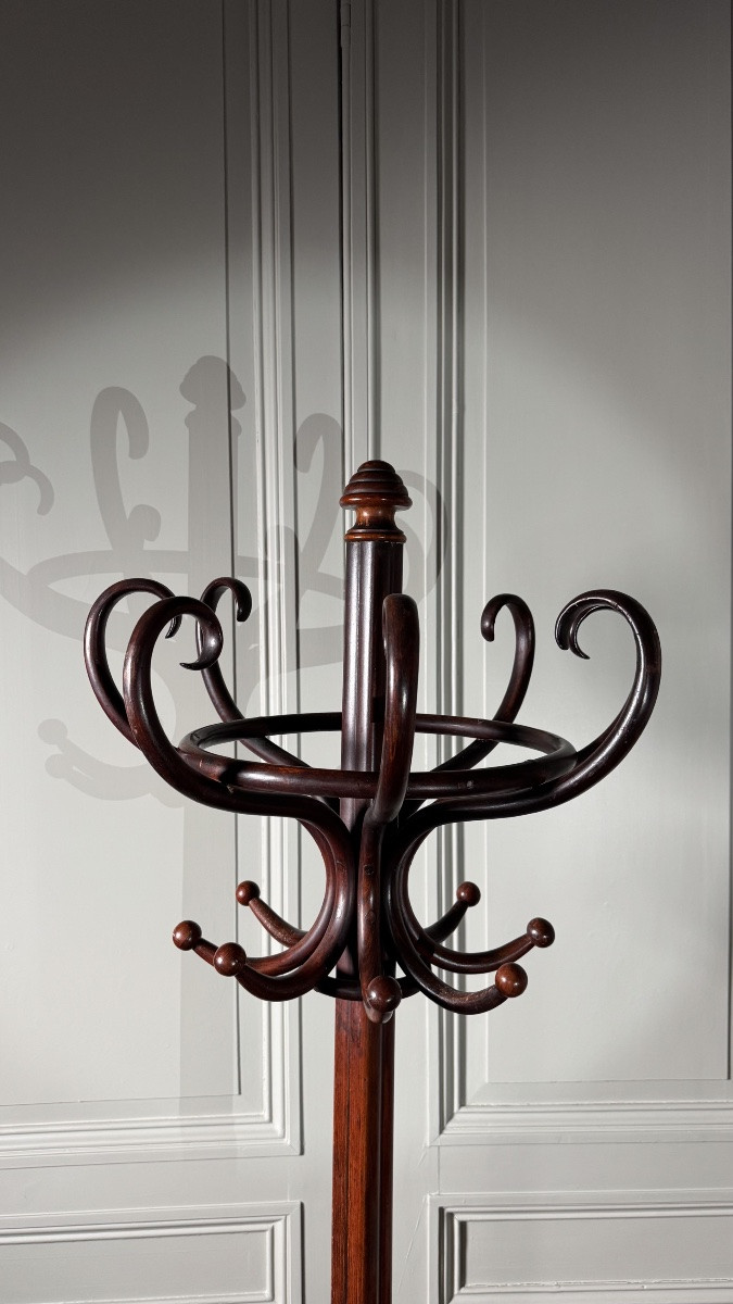 Thonet – Porte-manteau perroquet en bois courbé, signé, XIXe siècle-photo-6