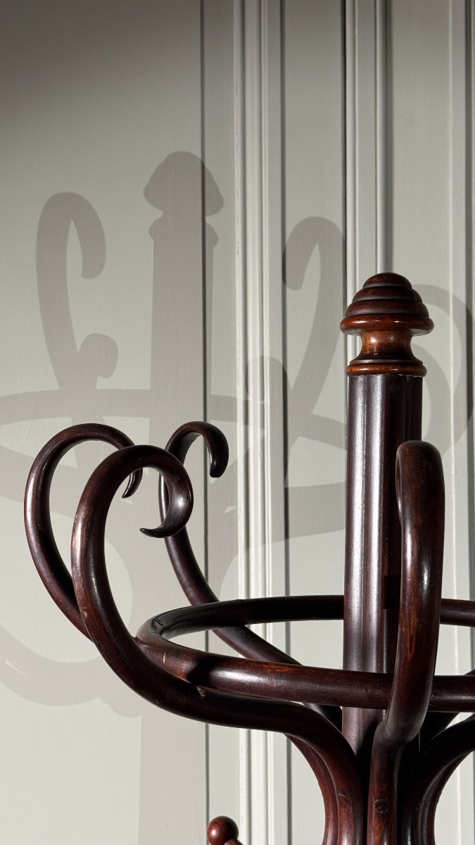 Thonet – Porte-manteau perroquet en bois courbé, signé, XIXe siècle-photo-7
