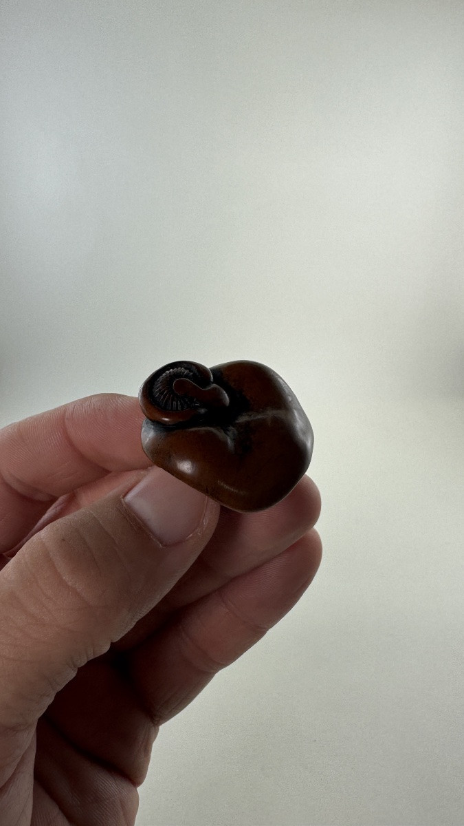 Japanese Boxwood Netsuke Depicting A Stylized Mushroom Japan, Edo Period-photo-2