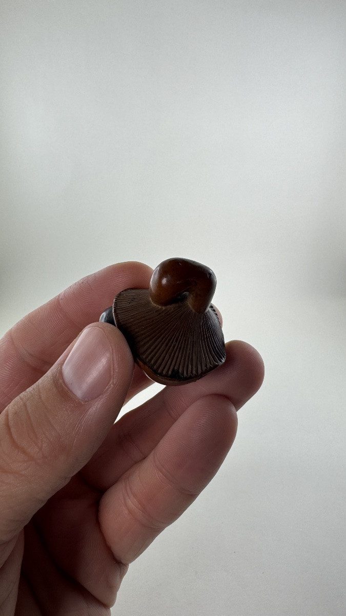 Japanese Boxwood Netsuke Depicting A Stylized Mushroom Japan, Edo Period-photo-3