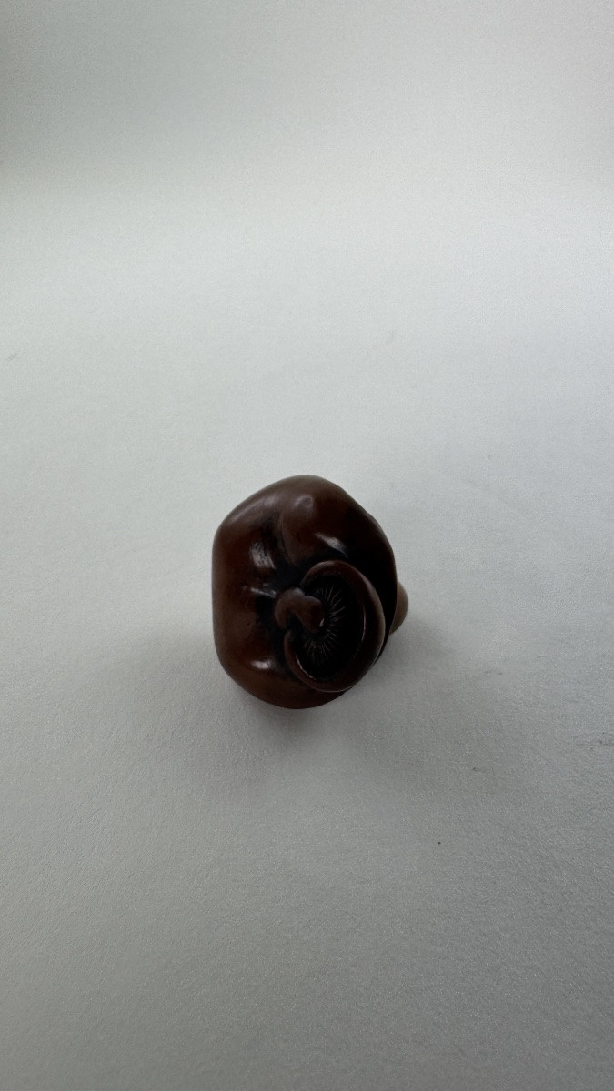 Japanese Boxwood Netsuke Depicting A Stylized Mushroom Japan, Edo Period-photo-4