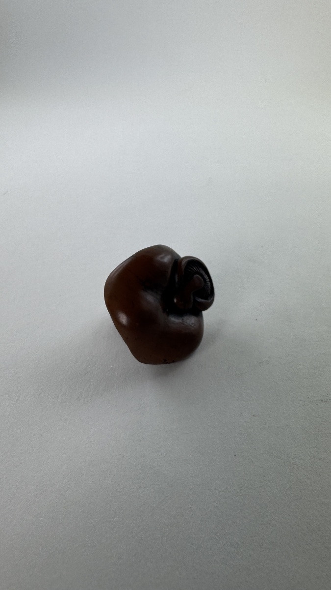 Japanese Boxwood Netsuke Depicting A Stylized Mushroom Japan, Edo Period-photo-1