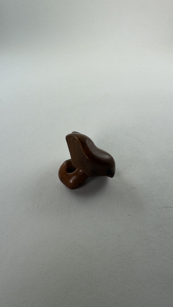 Japanese Boxwood Netsuke Depicting A Stylized Mushroom Japan, Edo Period-photo-2