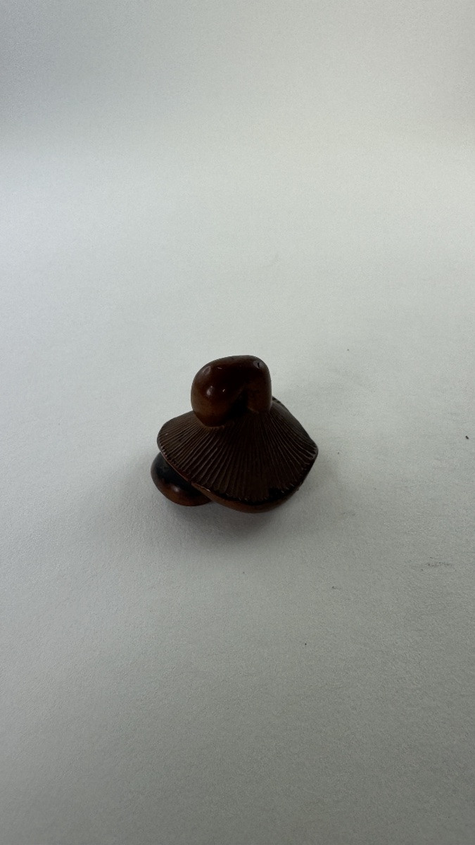 Japanese Boxwood Netsuke Depicting A Stylized Mushroom Japan, Edo Period-photo-5