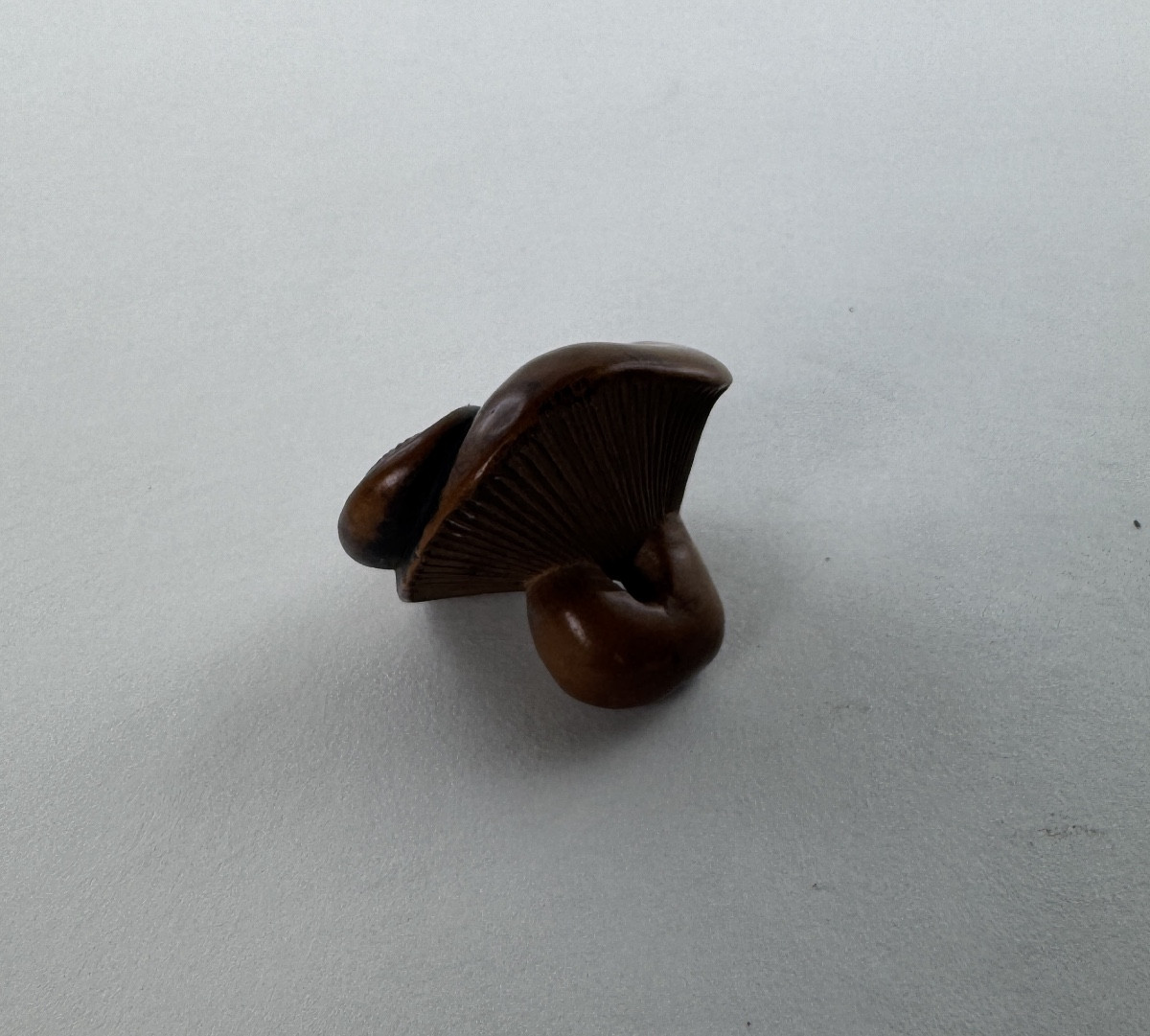 Japanese Boxwood Netsuke Depicting A Stylized Mushroom Japan, Edo Period