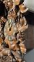 1818366-6a9feead0b712.jpg