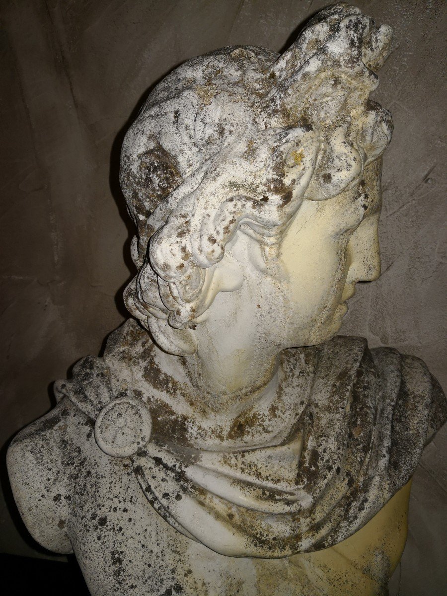Buste En Pierre De l'Apollon Du Belvédère -photo-2