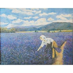 Champs de Lavande en Provence - Huile sur toile Signé Gluzac (1952-2023)  Réf A17
