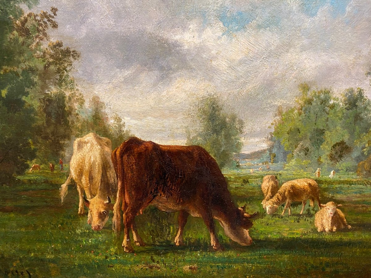 Cortès Antonio,  tableau  XIX éme, vaches et moutons -photo-1