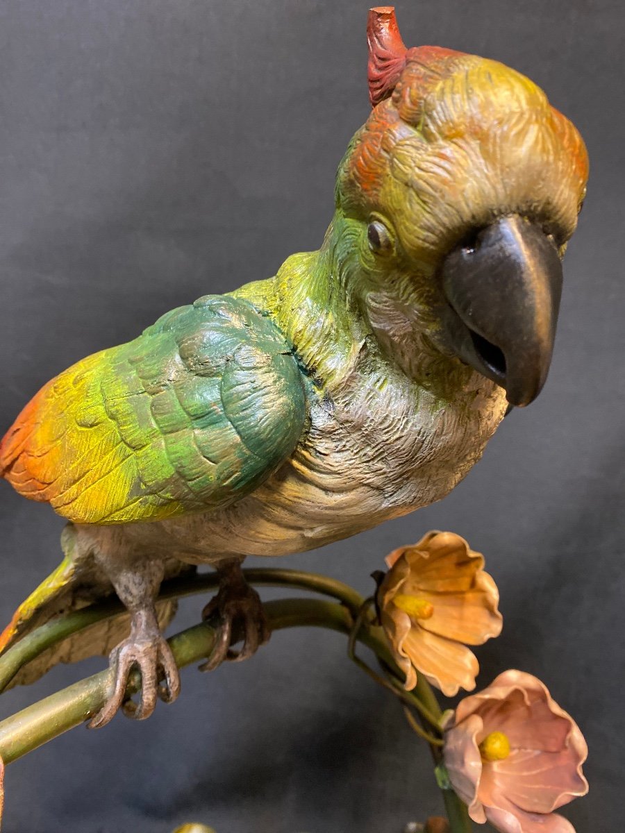Great Bronze Parrot Cut From Vienna-photo-3