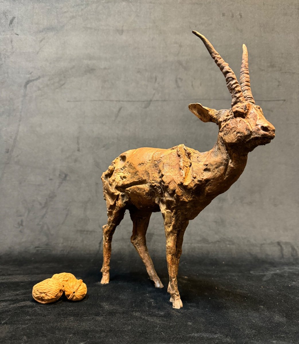 Terracotta Antelope By Sculptor Gambino