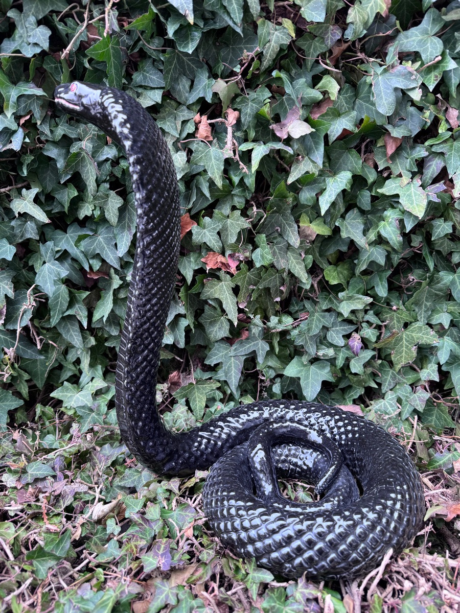 Cobra en céramique  dans le goût de Tommaso Barbi  Italie, vers 1970-photo-4
