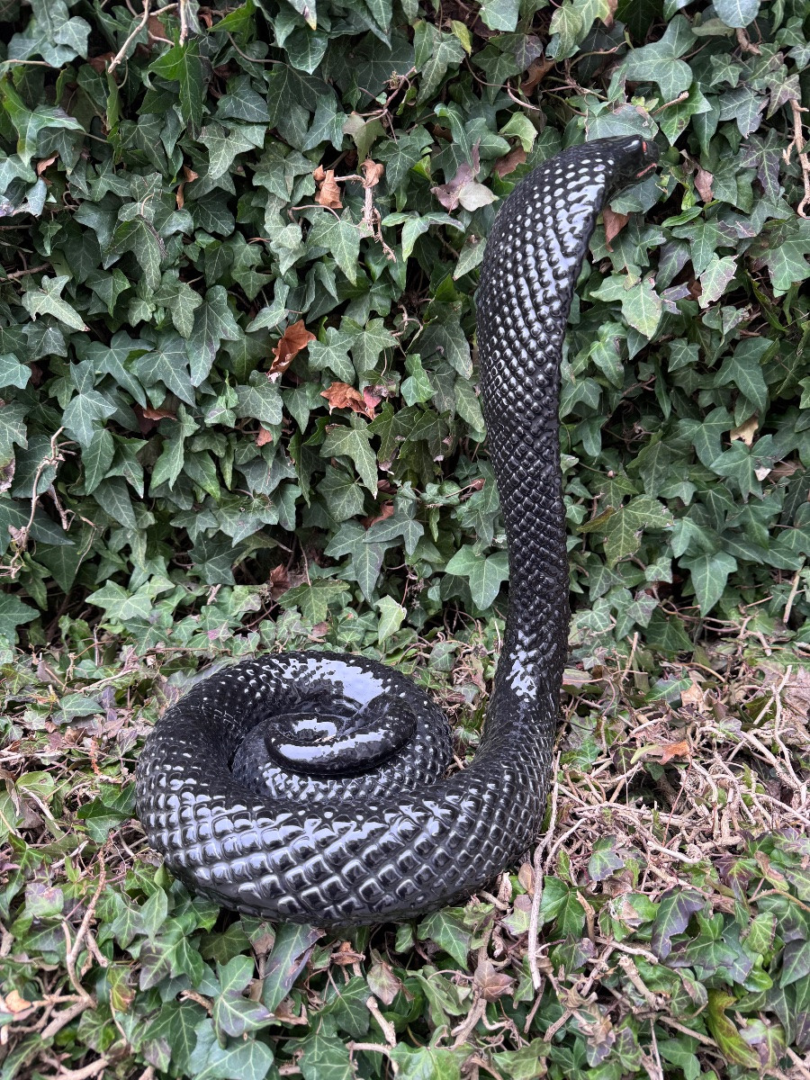 Cobra en céramique  dans le goût de Tommaso Barbi  Italie, vers 1970-photo-5