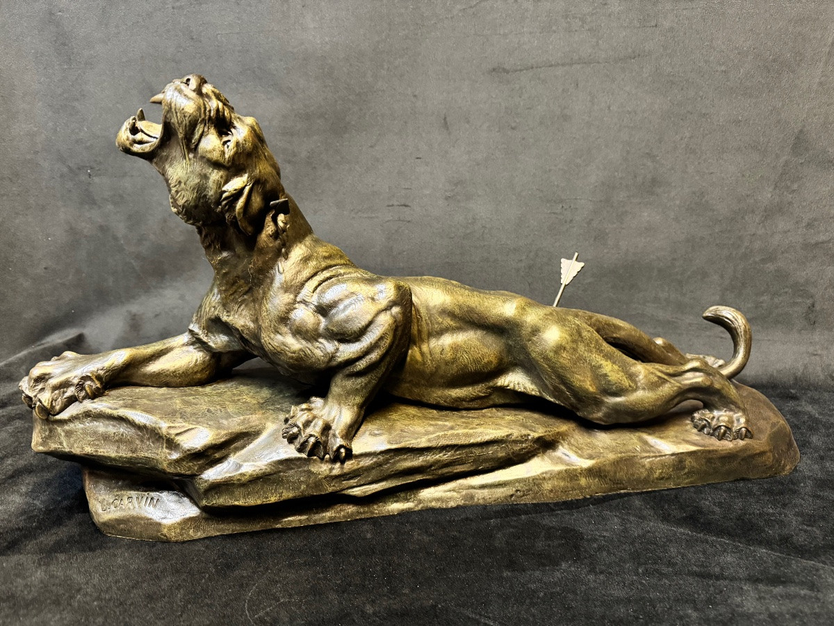 Important Bronze Animal Sculpture Of A Wounded Lioness, 69 Cm – Louis Carvin (1875-1951) – French School-photo-1