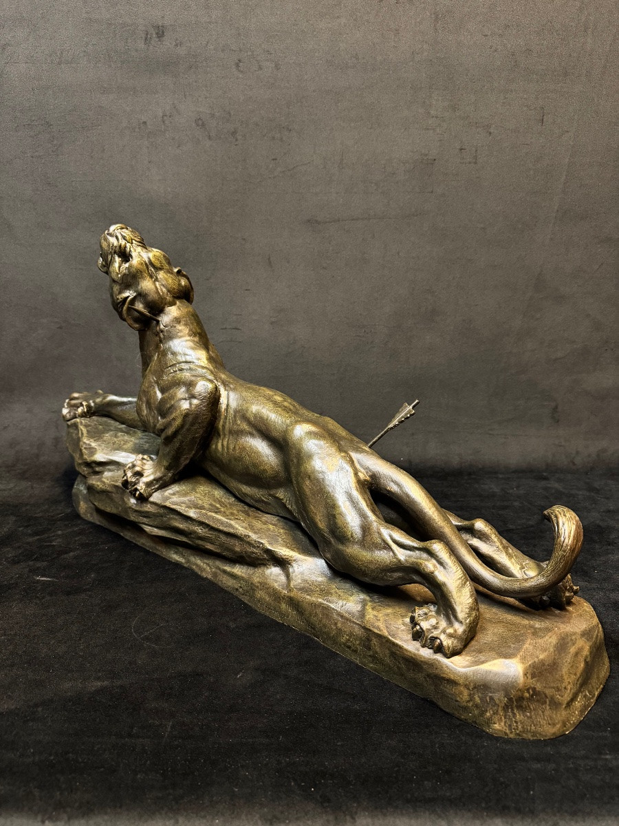 Important Bronze Animal Sculpture Of A Wounded Lioness, 69 Cm – Louis Carvin (1875-1951) – French School-photo-2