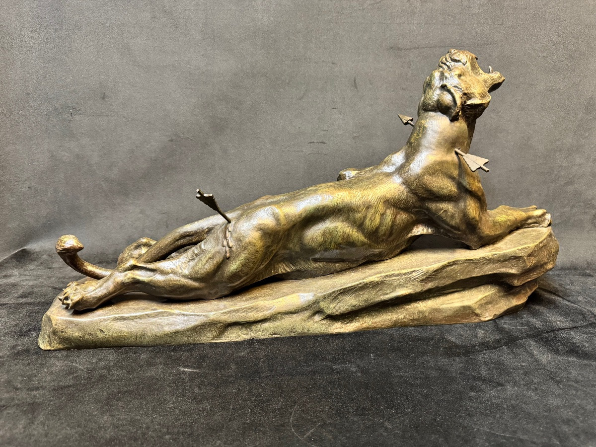 Important Bronze Animal Sculpture Of A Wounded Lioness, 69 Cm – Louis Carvin (1875-1951) – French School-photo-3