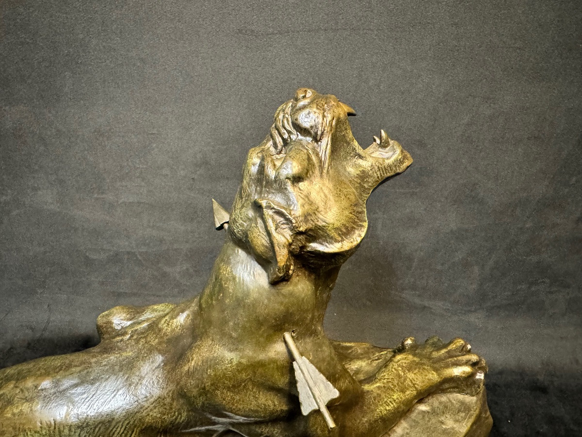 Important Bronze Animal Sculpture Of A Wounded Lioness, 69 Cm – Louis Carvin (1875-1951) – French School-photo-4