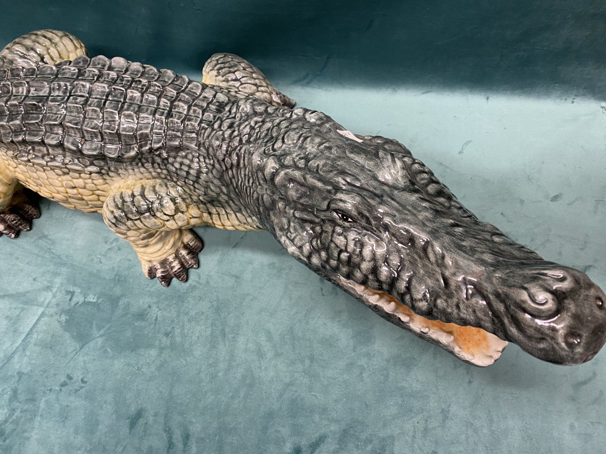 Crocodile en Barbotine.-photo-3