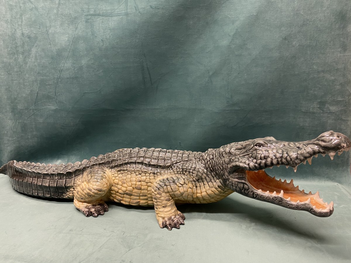 Crocodile en Barbotine.