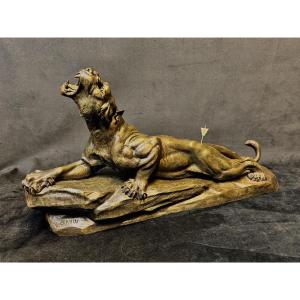 Important Bronze Animal Sculpture Of A Wounded Lioness, 69 Cm – Louis Carvin (1875-1951) – French School