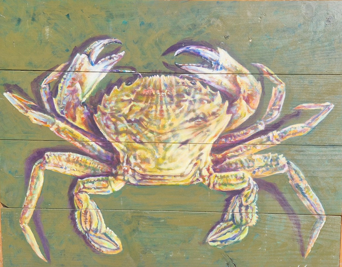 Etrille Sur Fond Vert de Eric Joly 