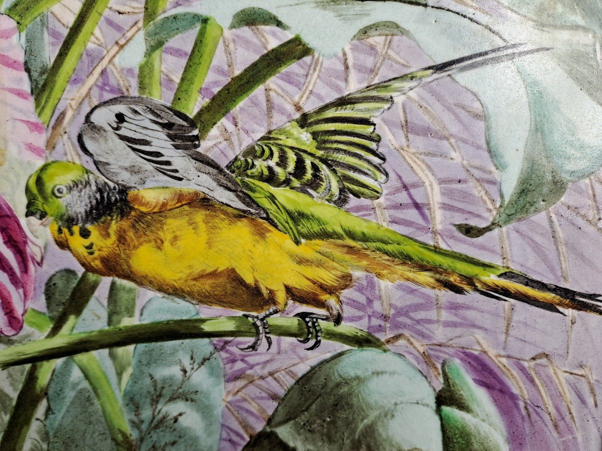Carouge Earthenware In Switzerland - Picolas & Degrange – Imperial Parakeet & Wavy Parakeets-photo-3