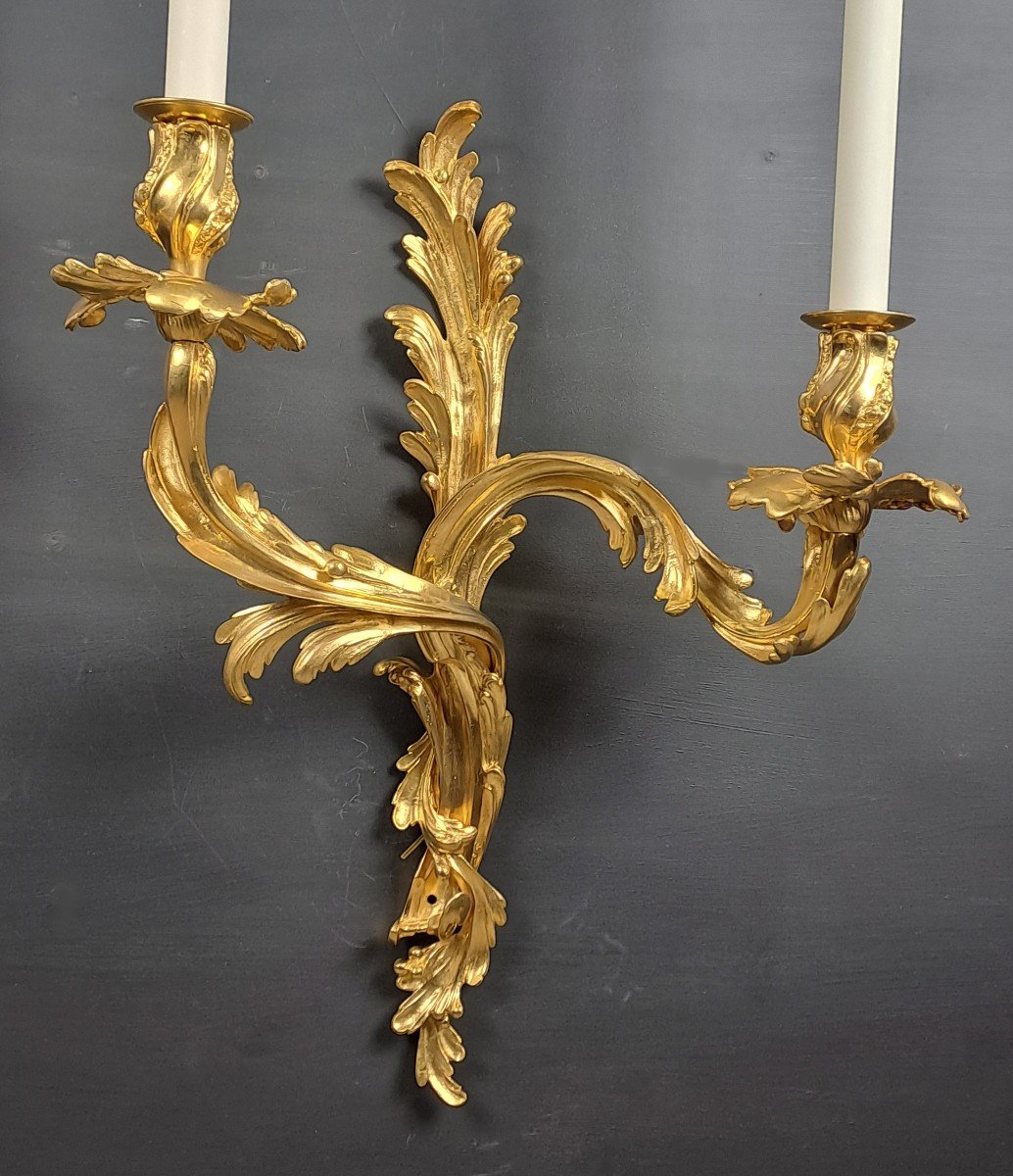 Pair Of Large Rocaille Wall Lights In Gilt Bronze-photo-3