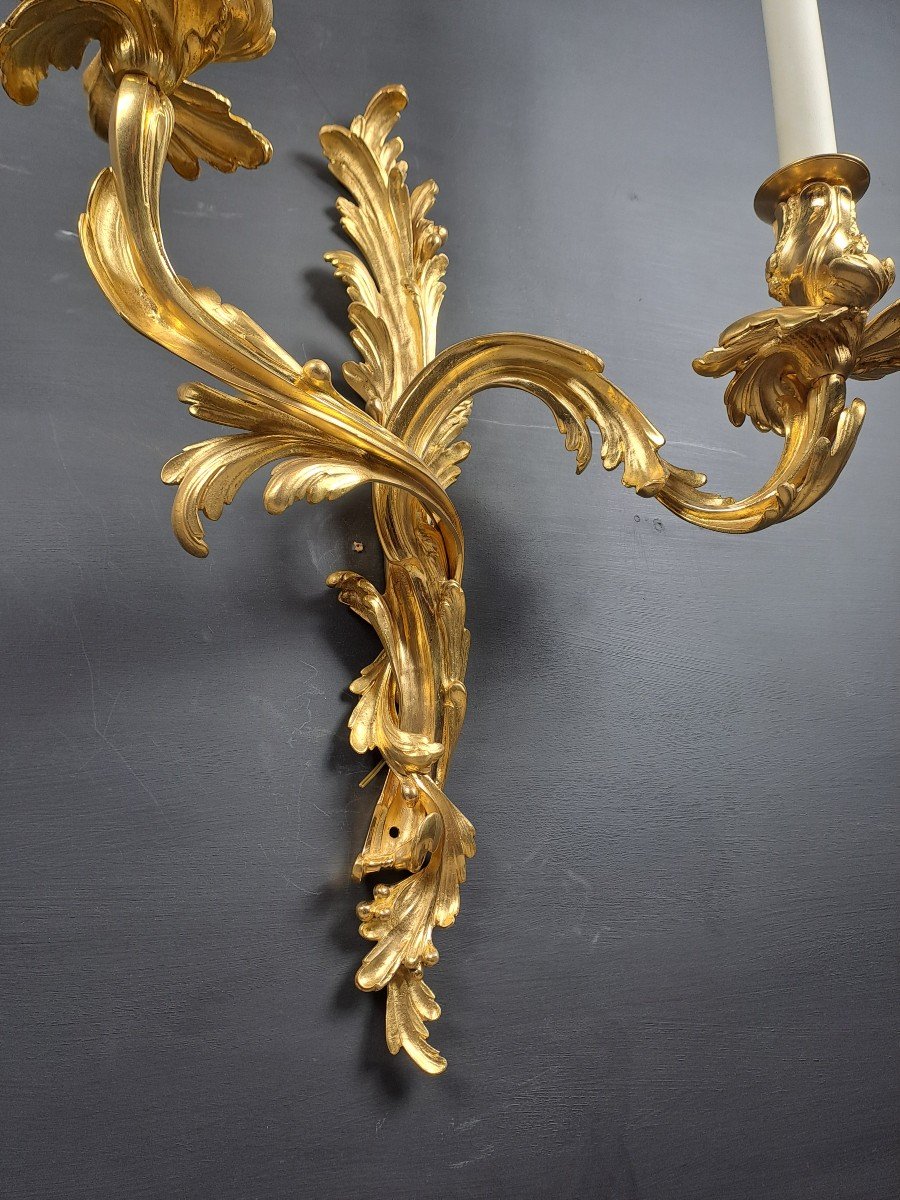 Pair Of Large Rocaille Wall Lights In Gilt Bronze-photo-7
